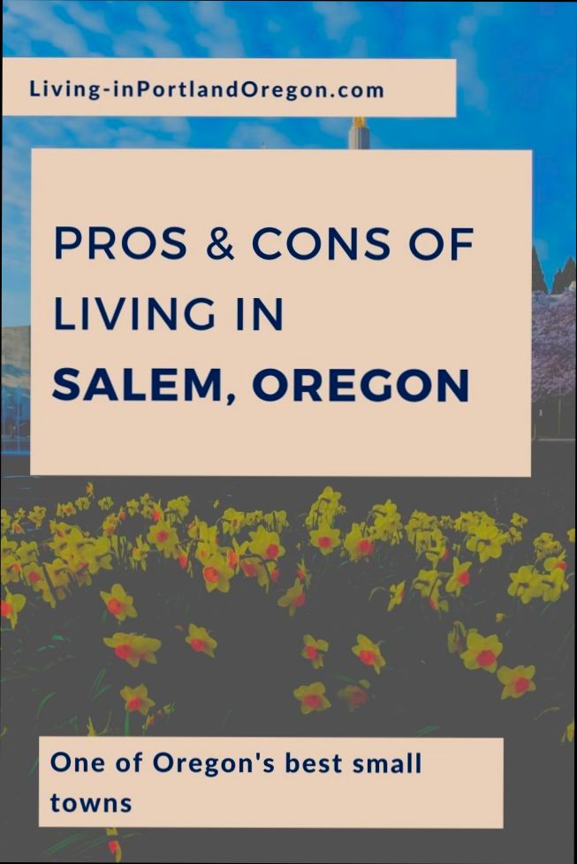 Pros and Cons of Living in Salem OR preview