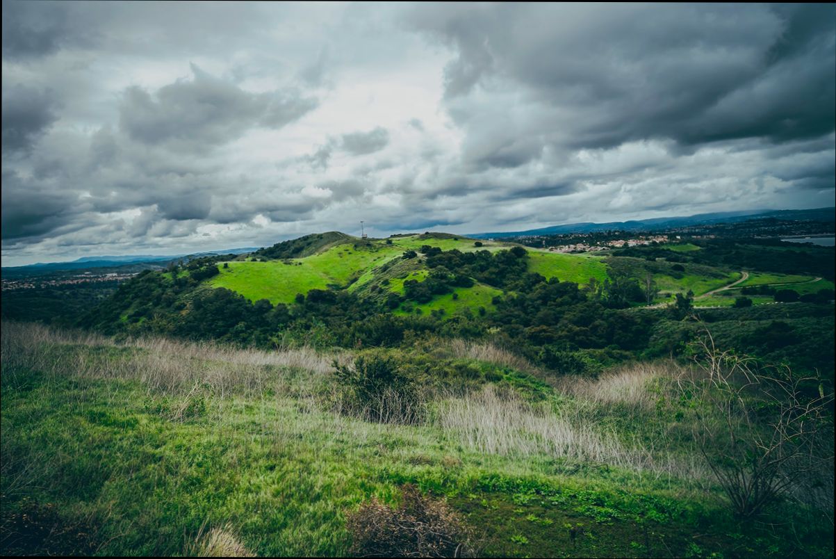 Pros and Cons of Living in Salinas CA preview