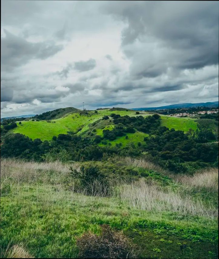 Pros and Cons of Living in Salinas CA - 2