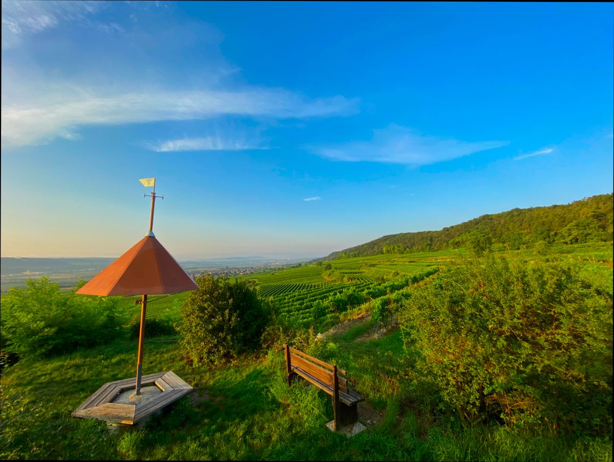 Pros and Cons of Living in Sankt Pölten - 1