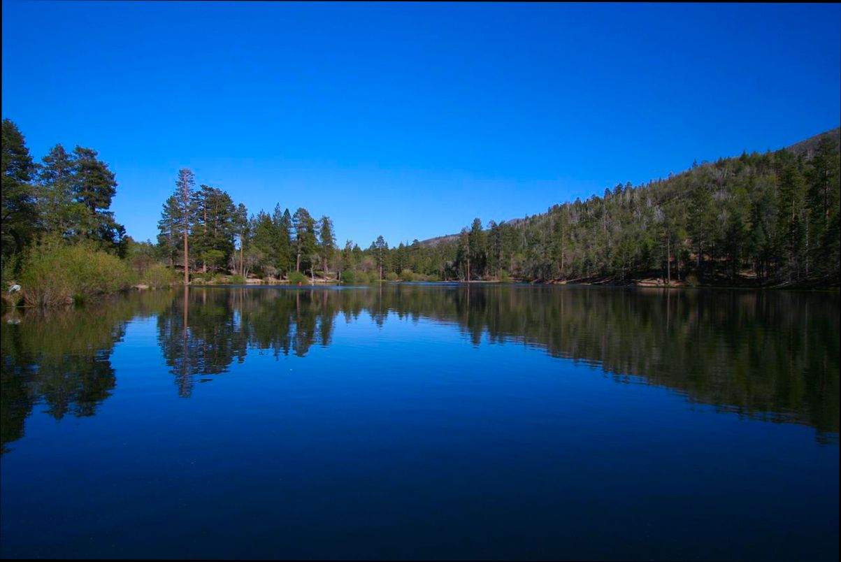 Pros and Cons of Living in Santa Ana CA - 6