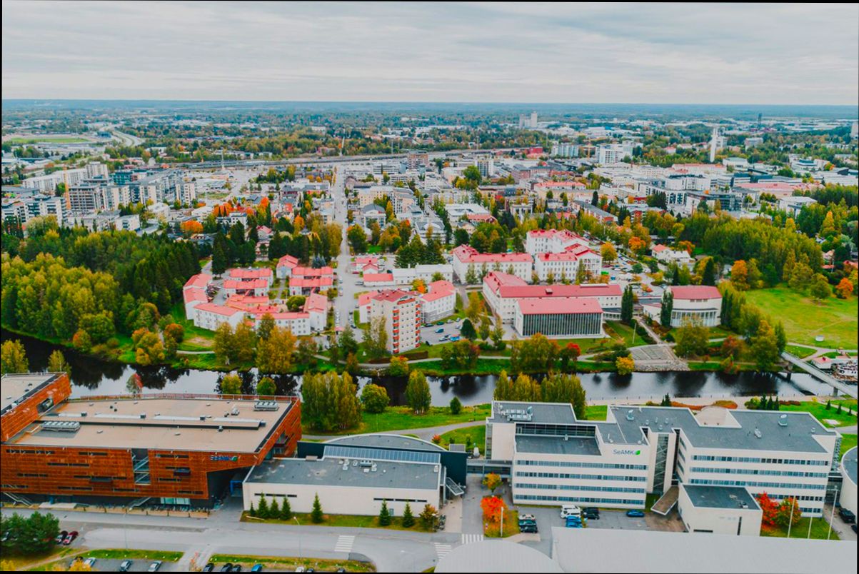 Pros and Cons of Living in Seinäjoki preview