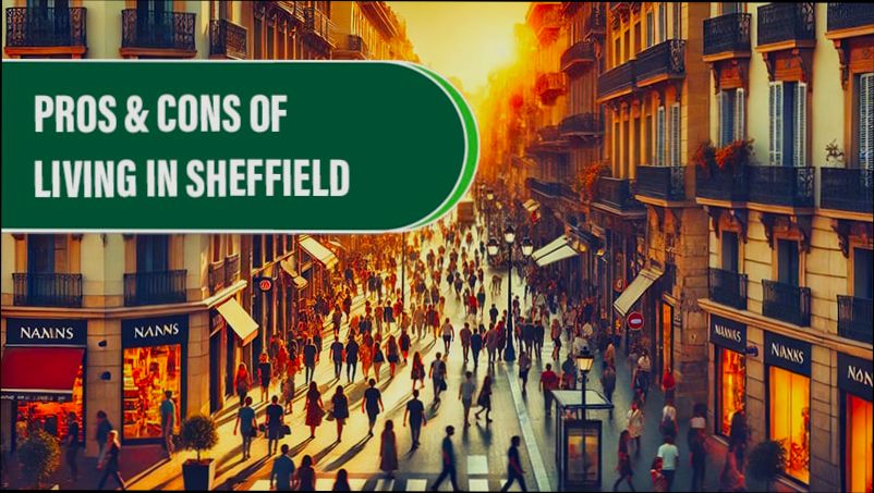 Pros and Cons of Living in Sheffield preview