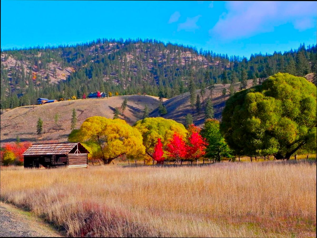 Pros and Cons of Living in Spokane Valley WA - 1