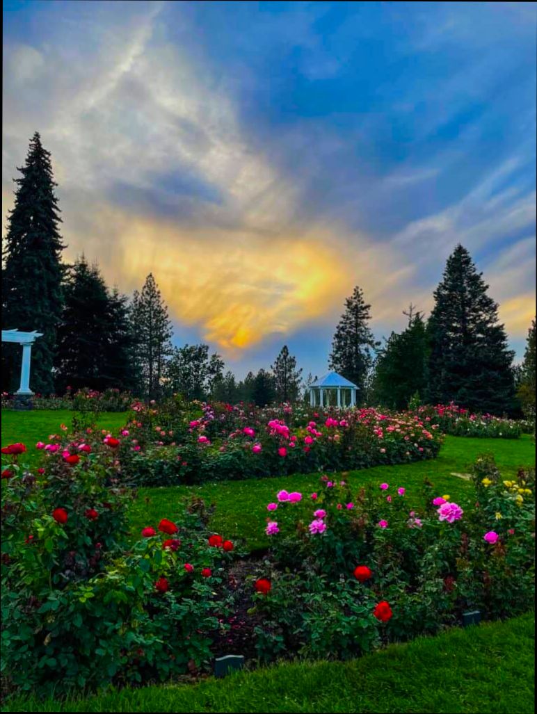 Pros and Cons of Living in Spokane Valley WA - 4