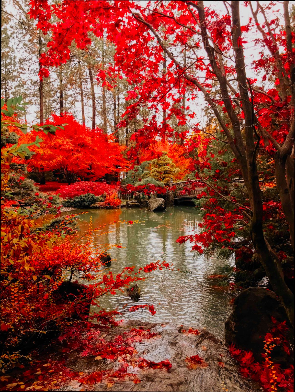 Pros and Cons of Living in Spokane Valley WA - 5