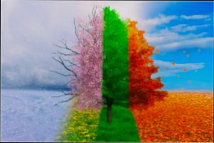 Pros and Cons of Living in Springfield MO - 5