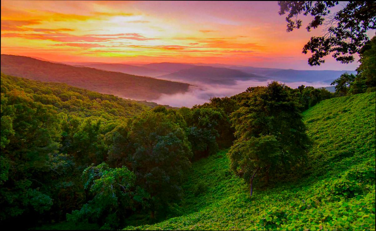 Pros and Cons of Living in Springfield MO - 6