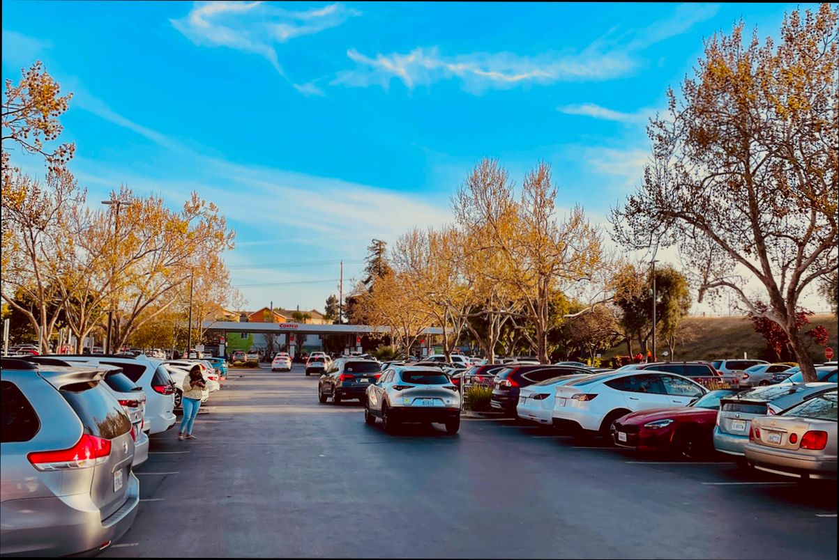 Pros and Cons of Living in Sunnyvale CA preview