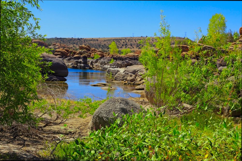 Pros and Cons of Living in Surprise AZ - 4