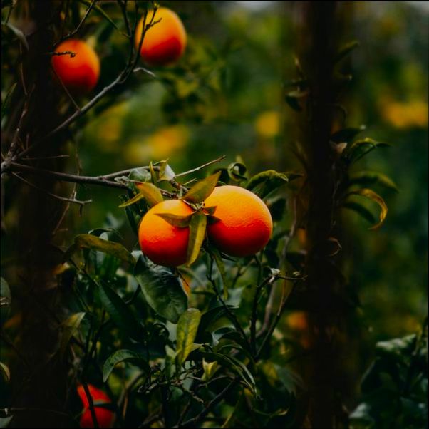 Pros and Cons of Living in Tarragona preview