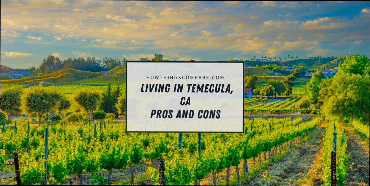 Pros and Cons of Living in Temecula CA preview
