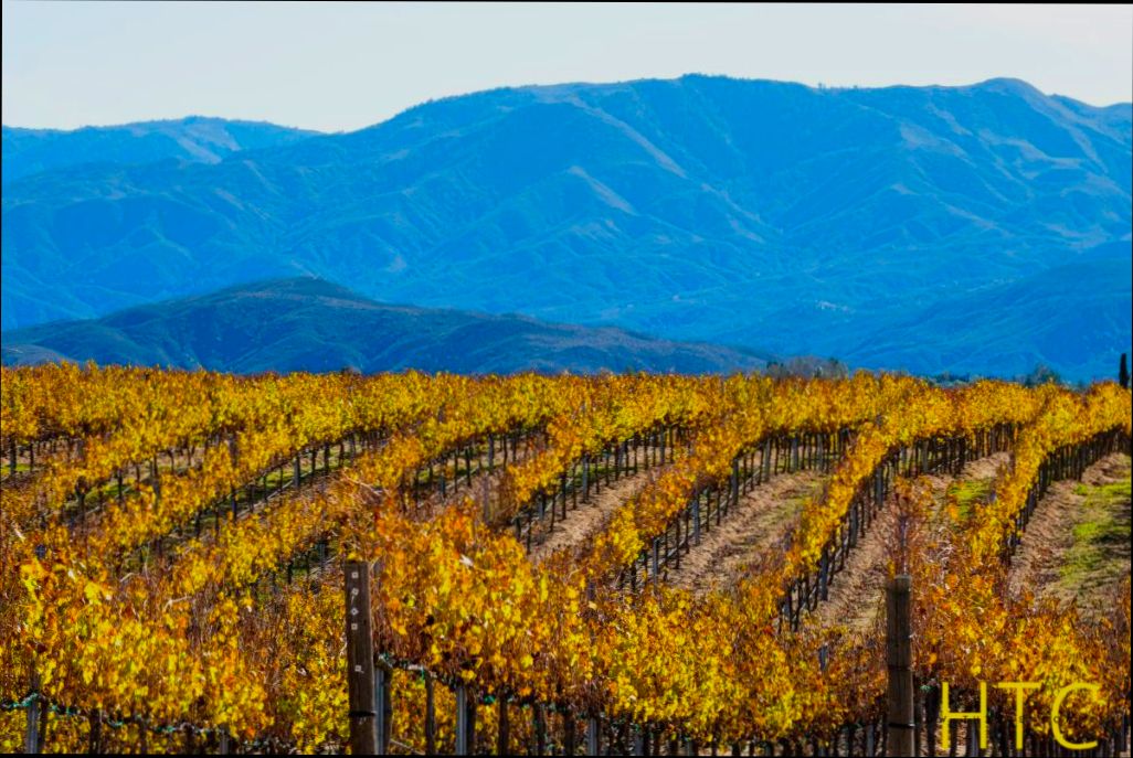 Pros and Cons of Living in Temecula CA - 4