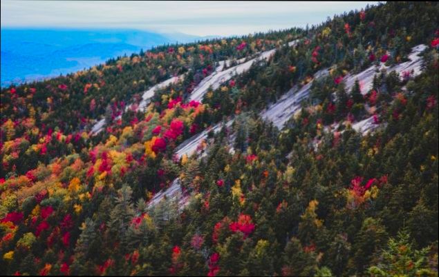 Pros and Cons of Living in Thornton CO - 0