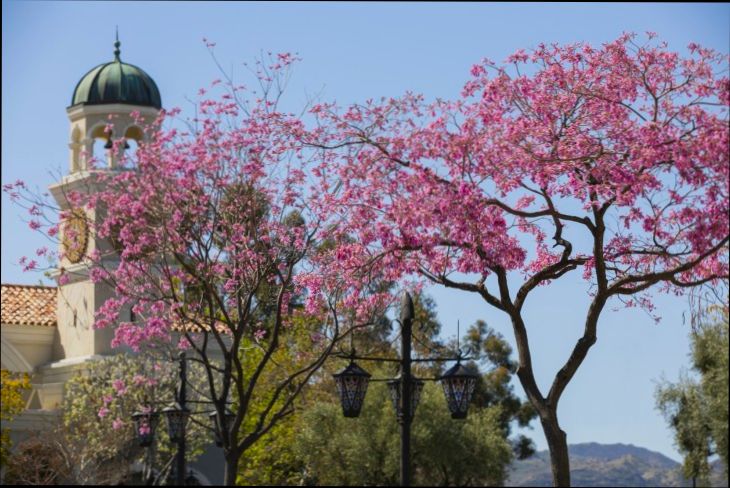 Pros and Cons of Living in Thousand Oaks CA - 0