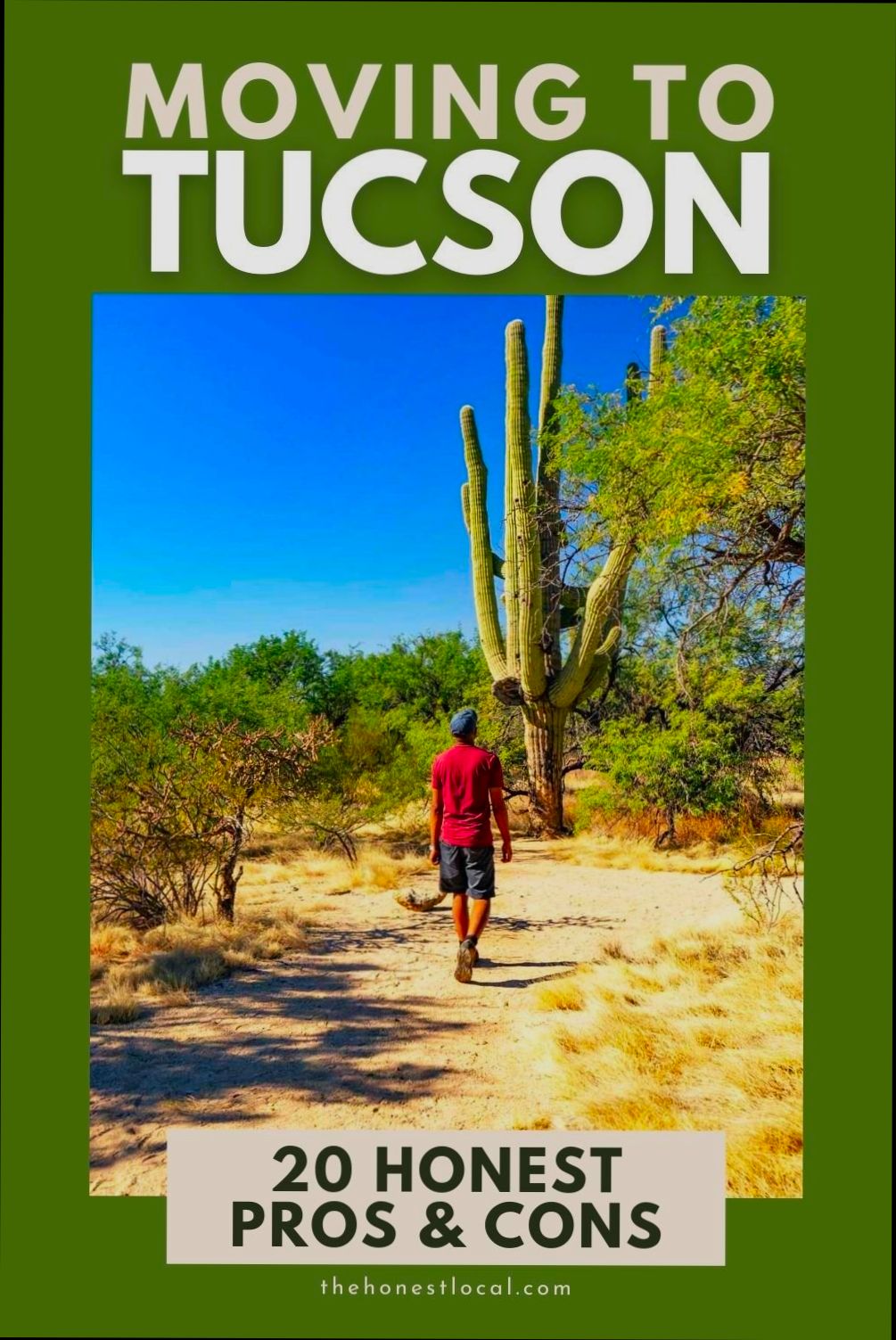 Pros and Cons of Living in Tucson AZ preview