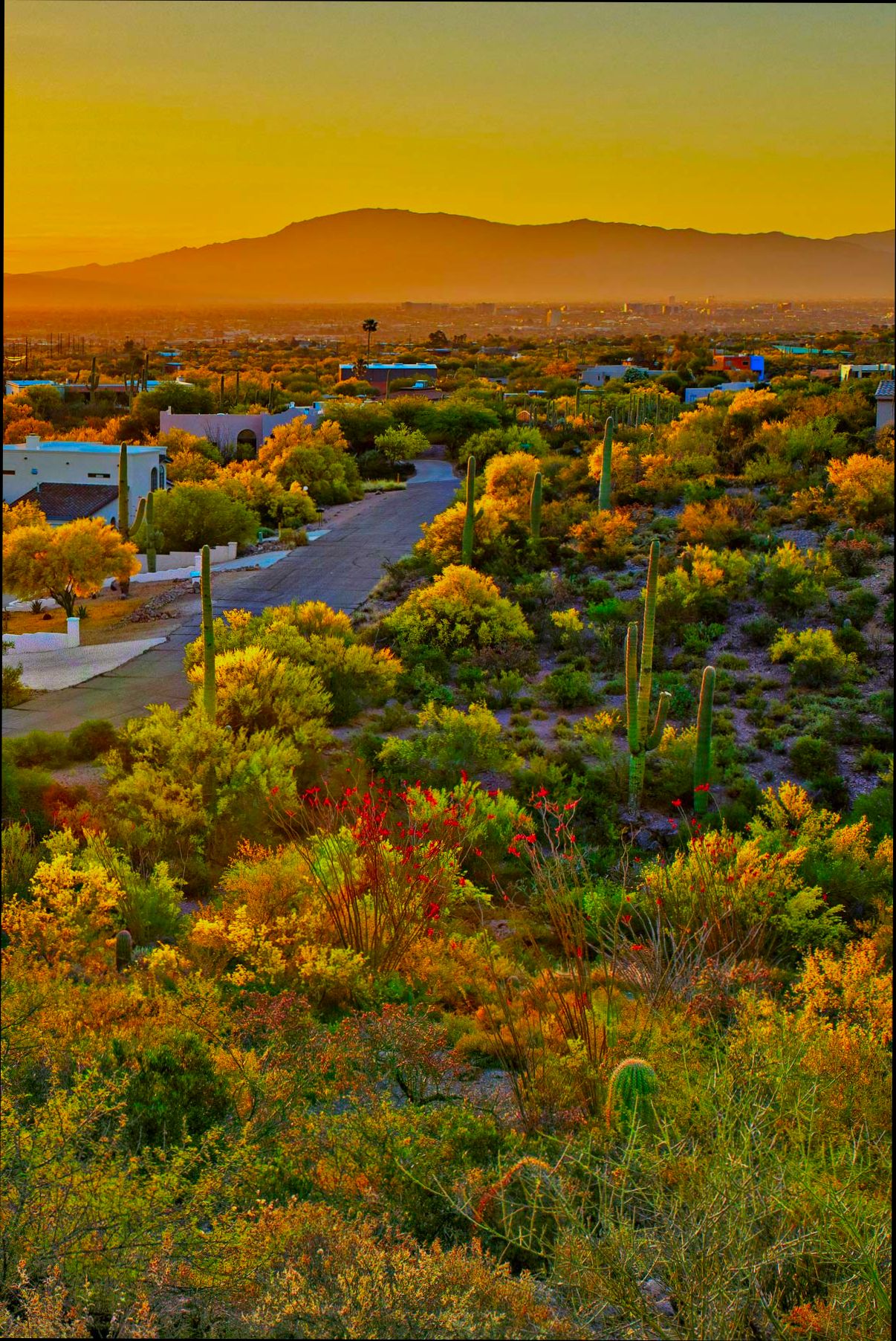 Pros and Cons of Living in Tucson AZ - 3