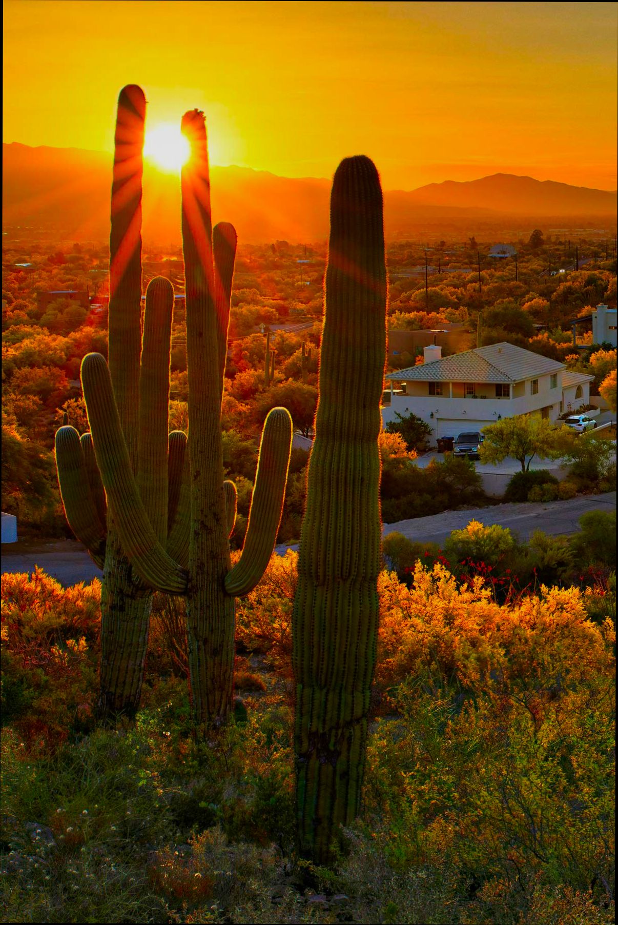 Pros and Cons of Living in Tucson AZ - 5