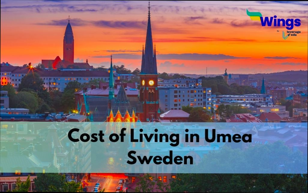 Pros and Cons of Living in Umeå - 0