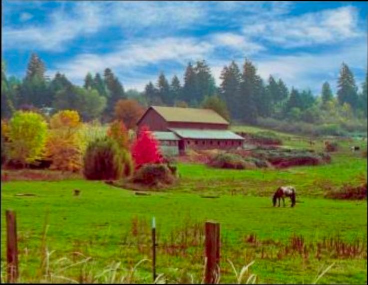 Pros and Cons of Living in Vancouver WA - 5