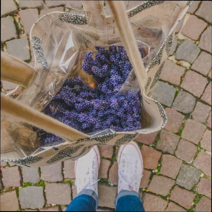 Pros and Cons of Living in Vicenza - 0