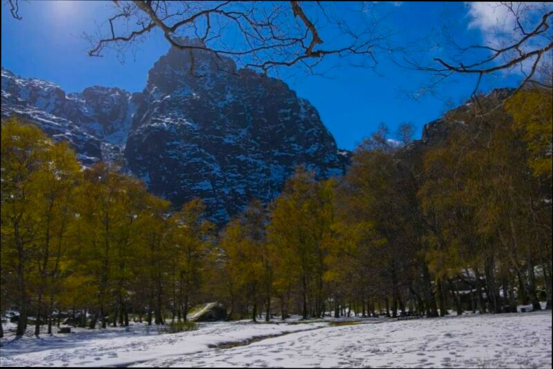 Pros and Cons of Living in Viseu - 3