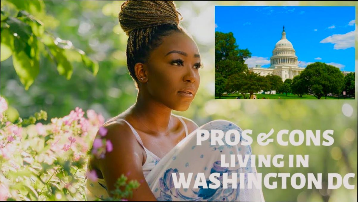 Pros and Cons of Living in Washington DC - 3