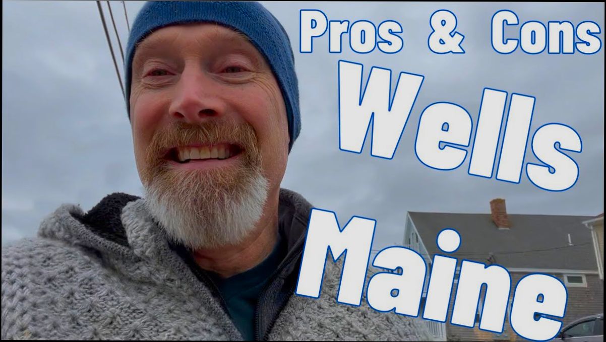 Pros and Cons of Living in Wels preview