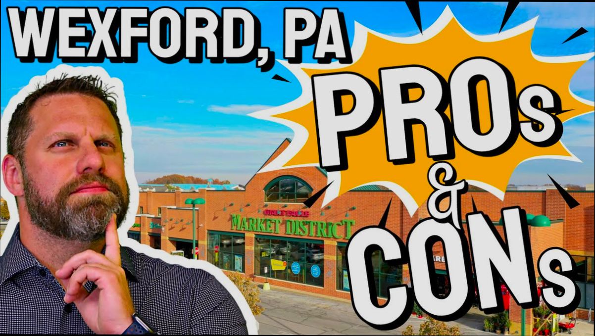 Pros and Cons of Living in Wexford preview