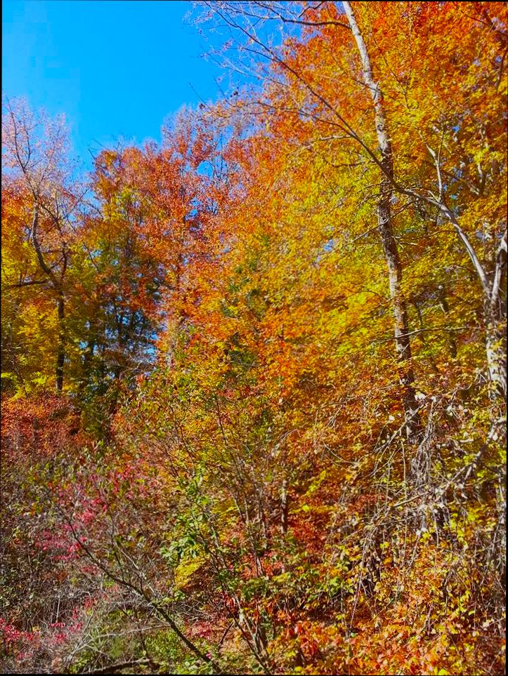 Pros and Cons of Living in Winston Salem NC - 1