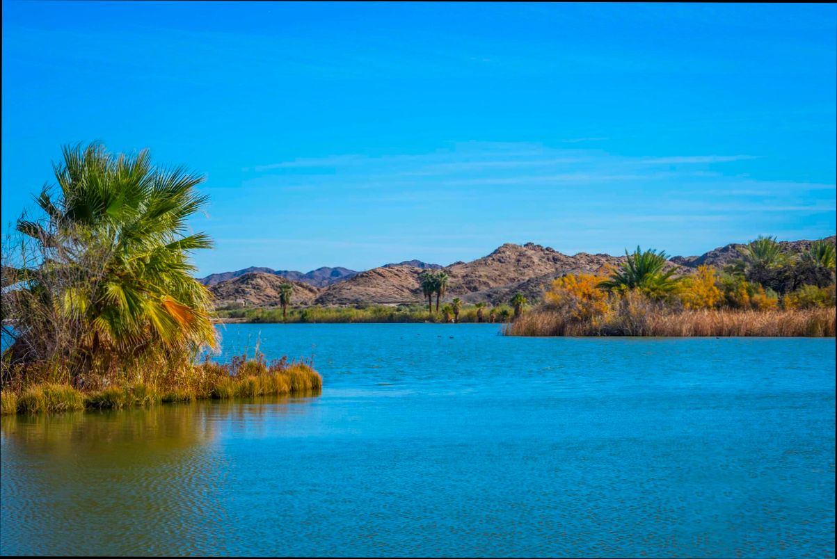 Pros and Cons of Living in Yuma AZ preview