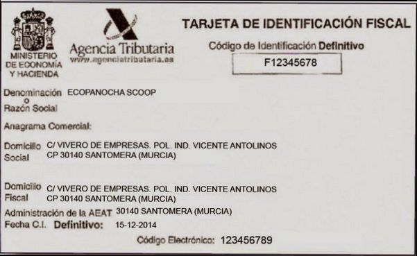 What are NIF and CIF in Spain - 4