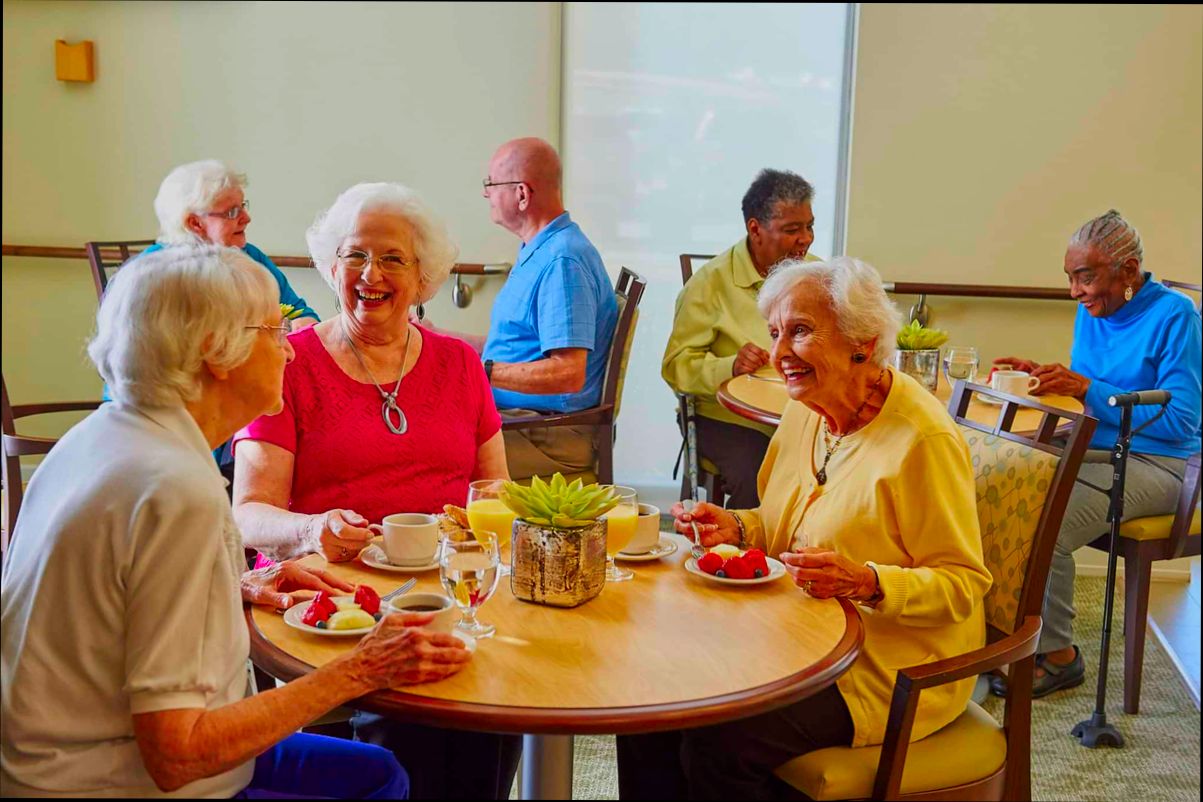 What are Nursing Homes - 4