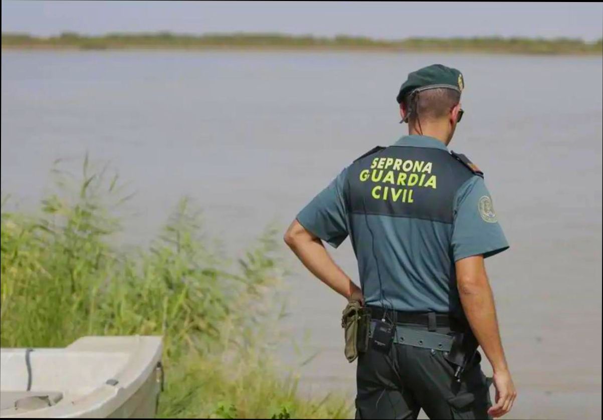 What is Crime Like in Málaga - 0