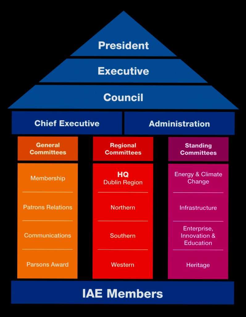 What is IAE and When to Pay It preview