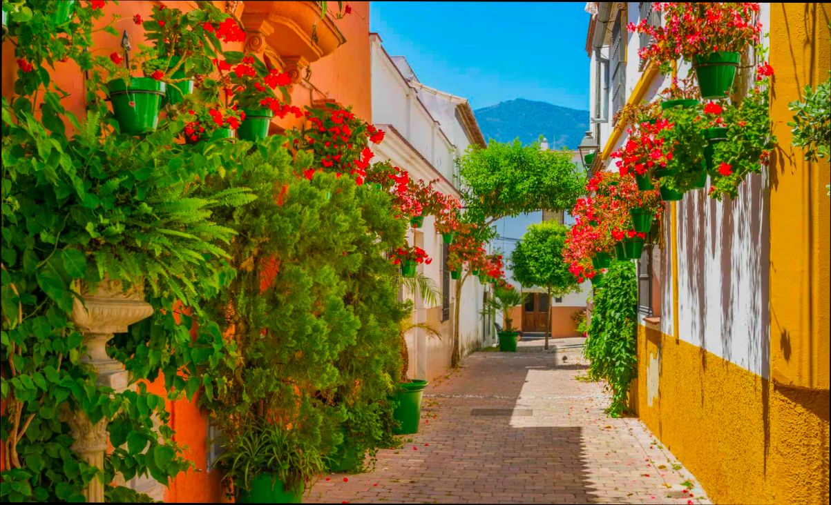 What is It Like Living in Málaga - 0