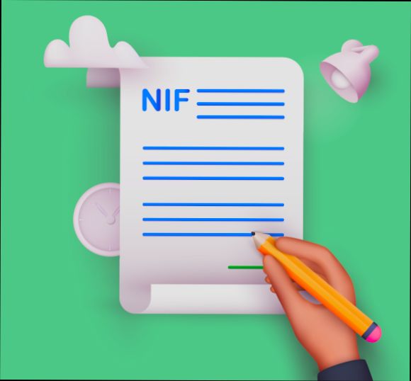 What is NIF and How to Get It - 3