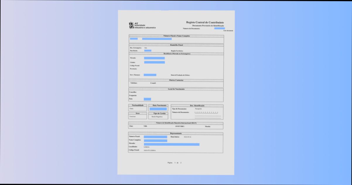 What is NIF and How to Get It - 5