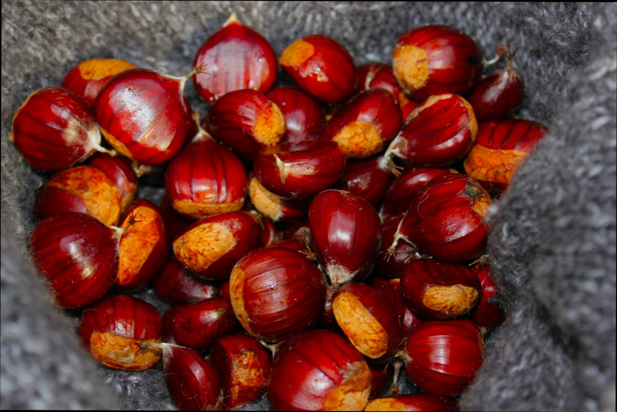 What is NUSS in Spain and How to Get It - 4