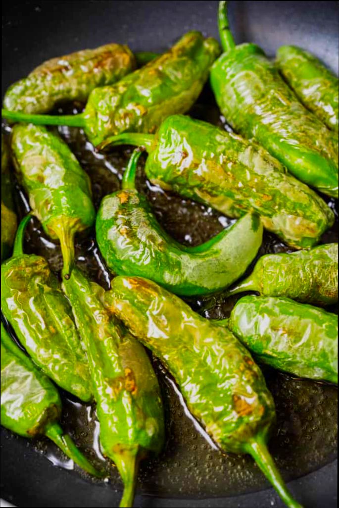 What is Padrón in Spain and How to Get It - 4