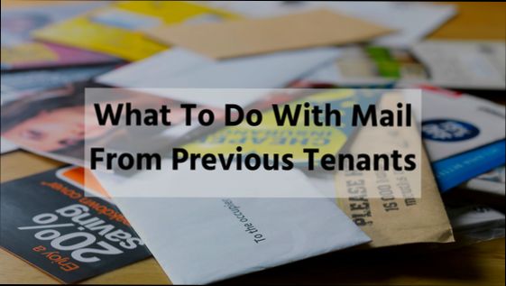 What to Do with Mail from Previous Tenant - 1