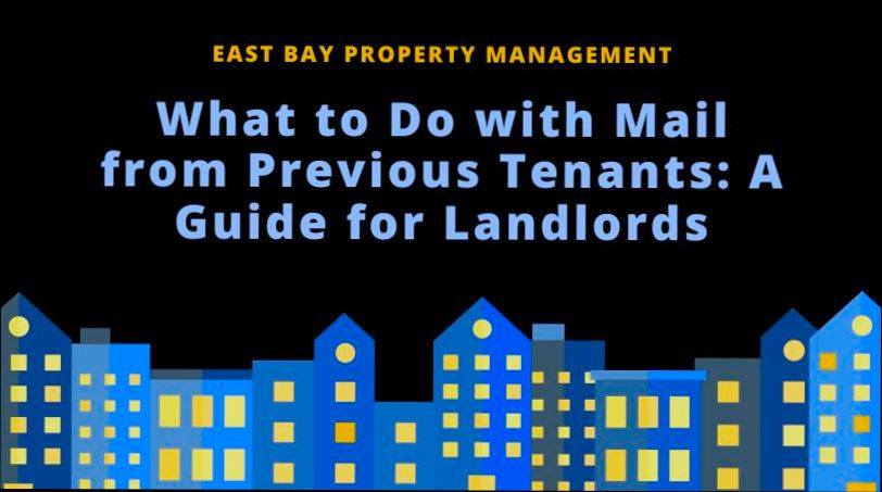 What to Do with Mail from Previous Tenant - 3