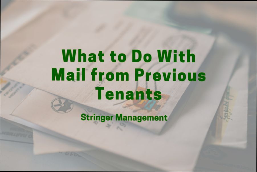 What to Do with Mail from Previous Tenant - 4