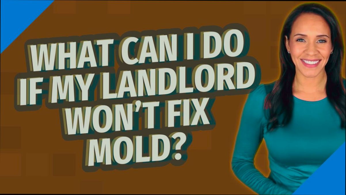 Who Do You Call When Landlord Won't Fix Things - 4